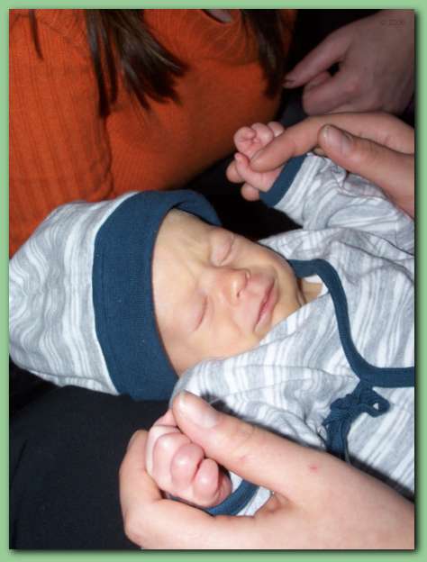 452x601 pixels (30K)